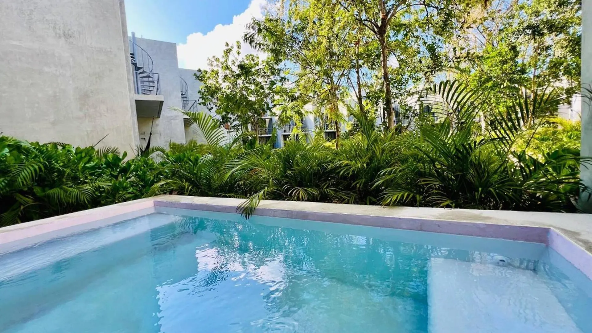 307 Seremonia Selva Private Pool New Apartment King Bed Wifi Tulum