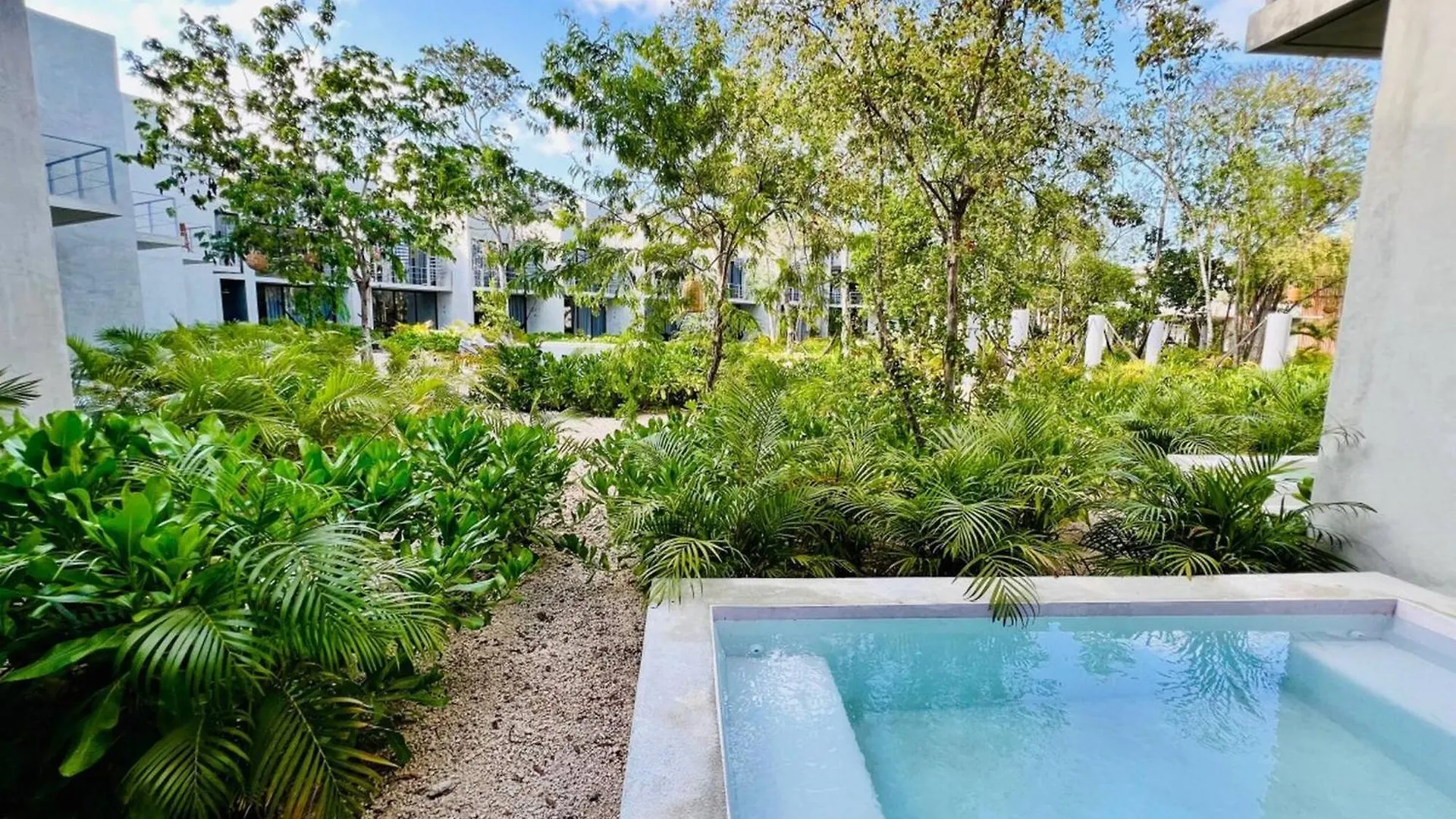 307 Seremonia Selva Private Pool New Apartment King Bed Wifi Tulum Mexico